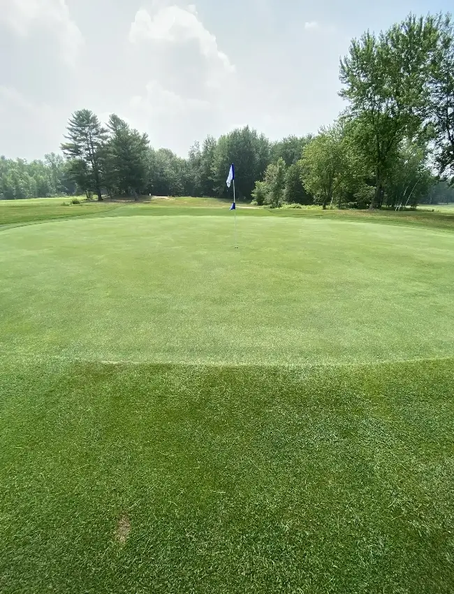 pine acres golf course 08